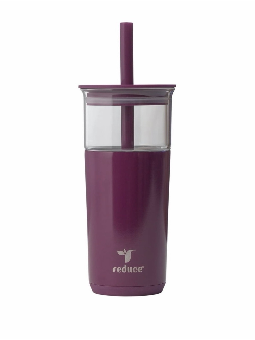 Reduce Aspen Stainless Steel Glass Insulated 20 oz Tumbler Car Cup w/ Lid Straw